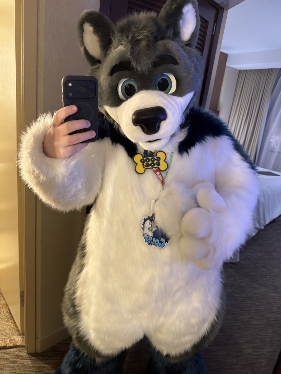 Dumb dog hours, come find me