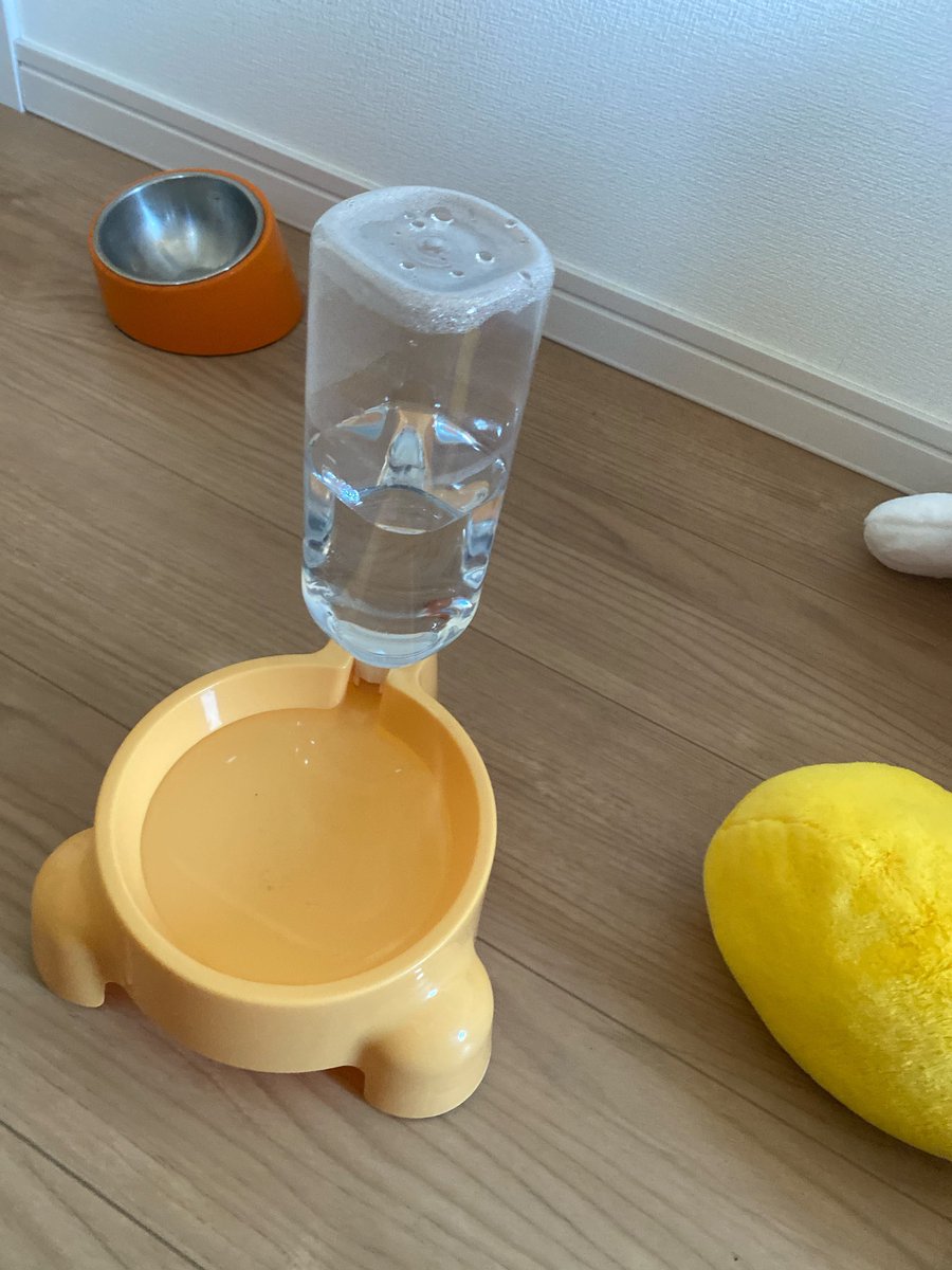 蒼くん (@ao_saturn8159) / Posts / X