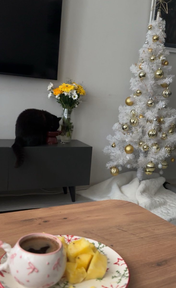 mission completed ✔️