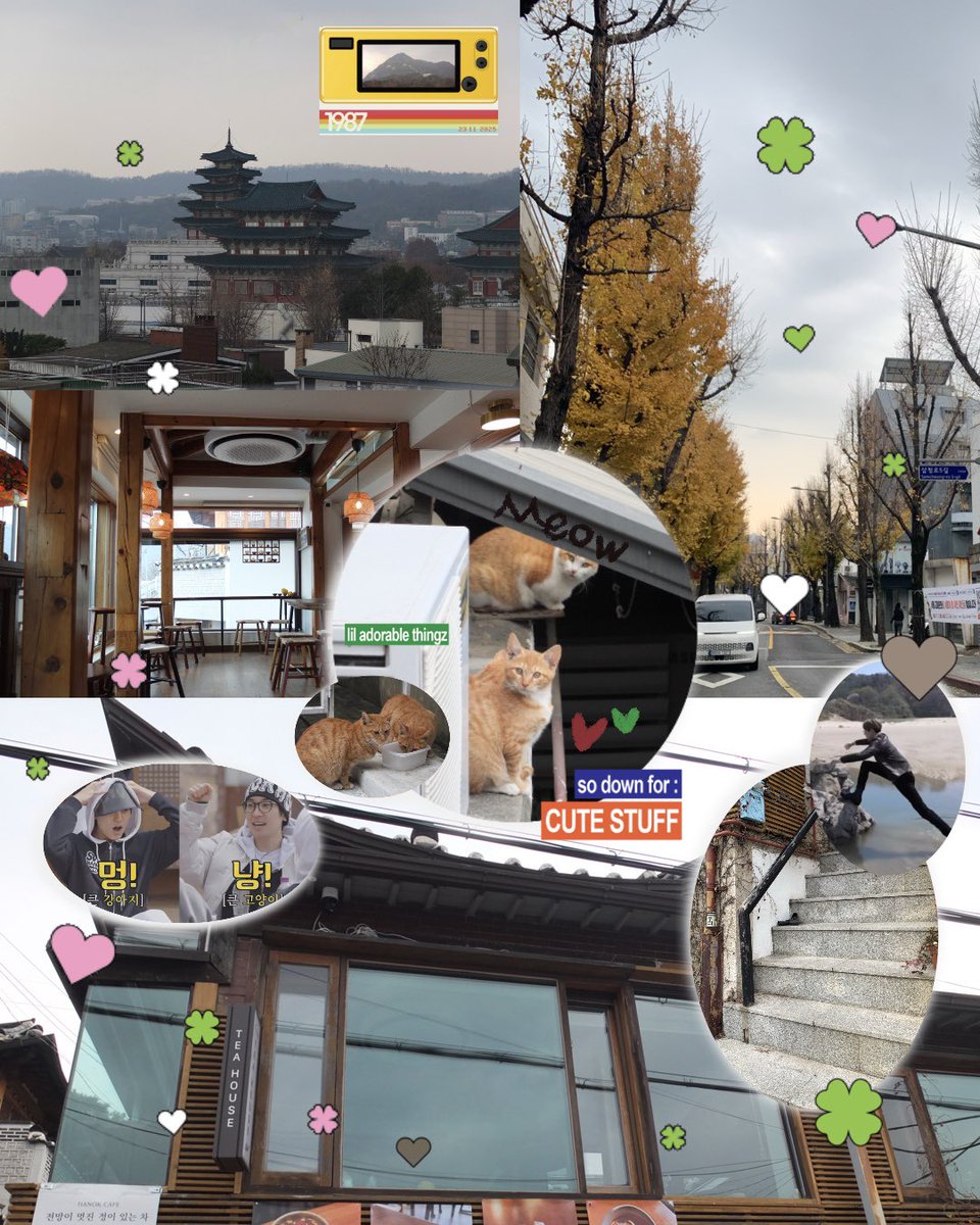 glowflow_cam tweet media