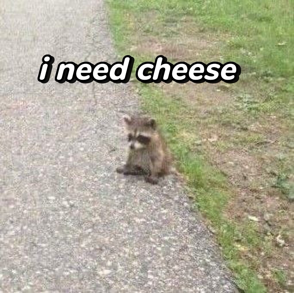 biggramz_'s tweet photo. I need chee$e 🧀 https://t.co/NBiruQgJl6