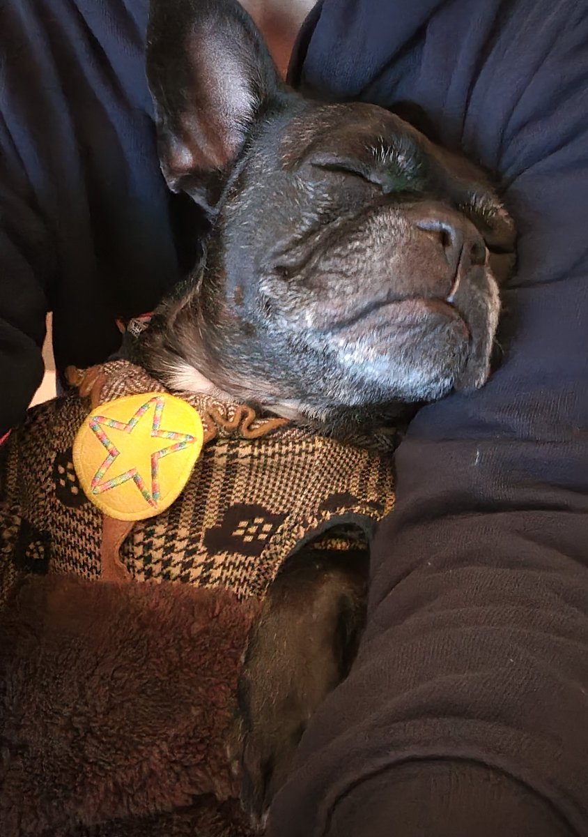 はしゃぎすぎたのでママしゃんのあんよでこたつお昼しましゅ🤭