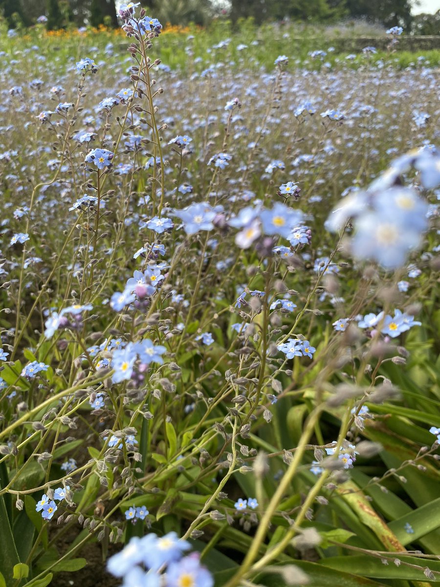 Kseniya Larico ⦿ tweet media