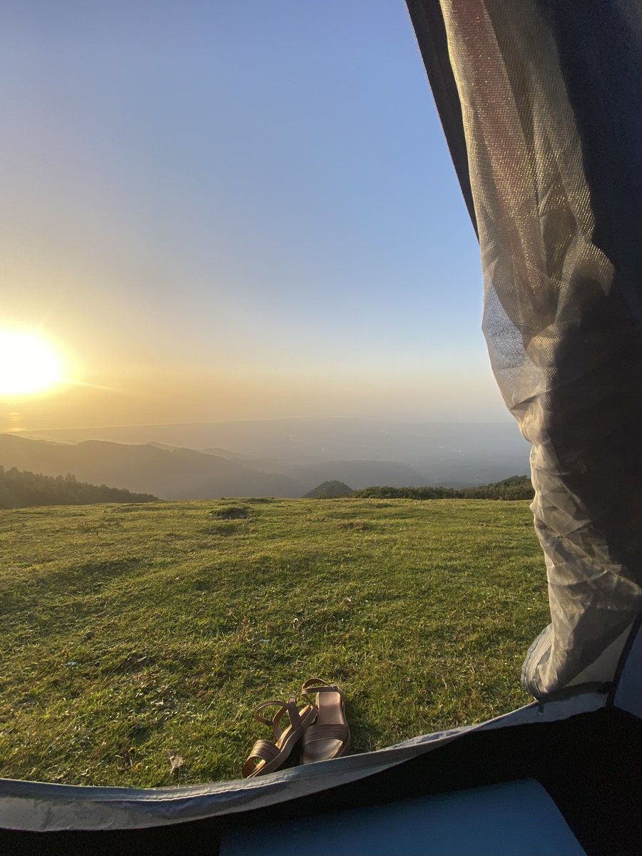 Kseniya Larico ⦿ tweet media