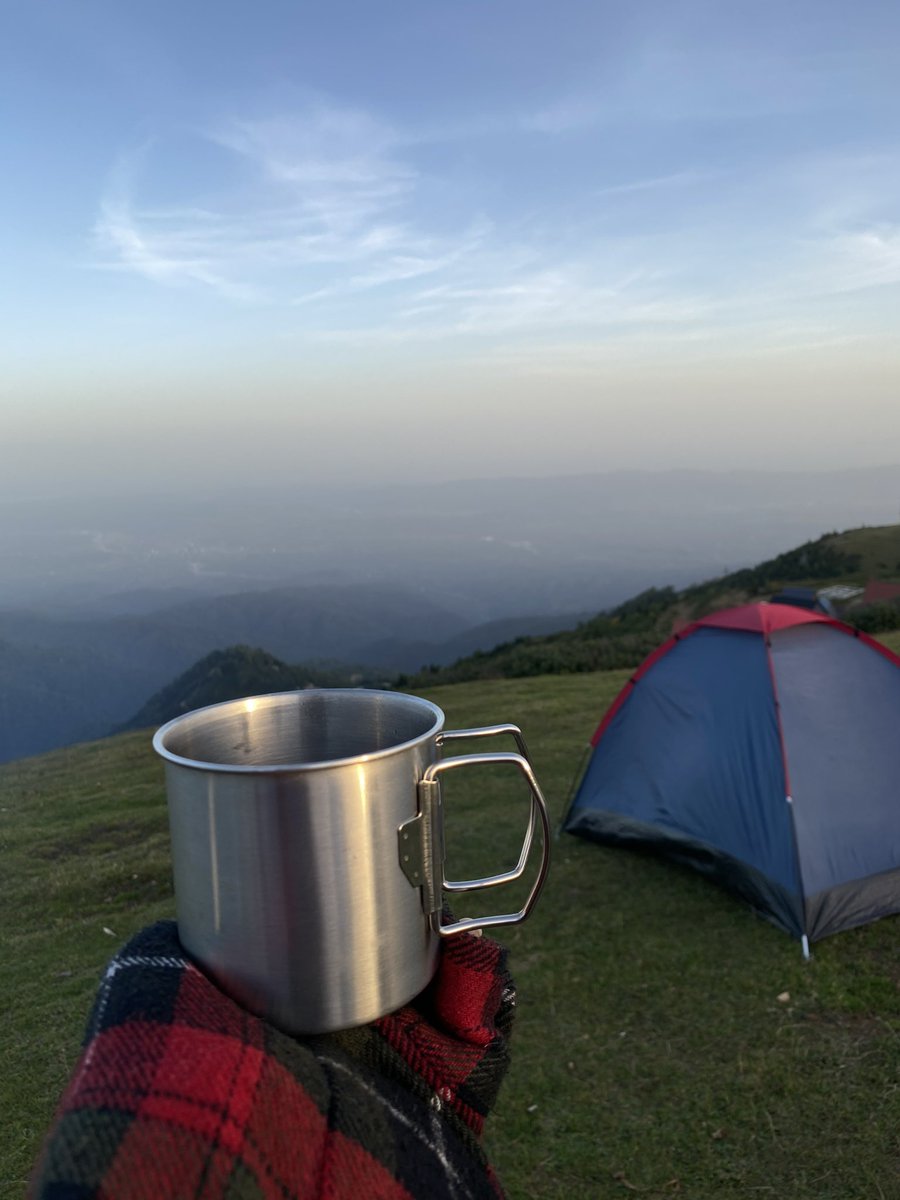 Kseniya Larico ⦿ tweet media