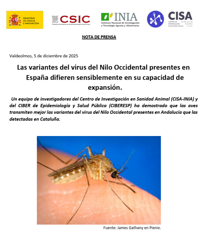 Virusemergentes tweet media