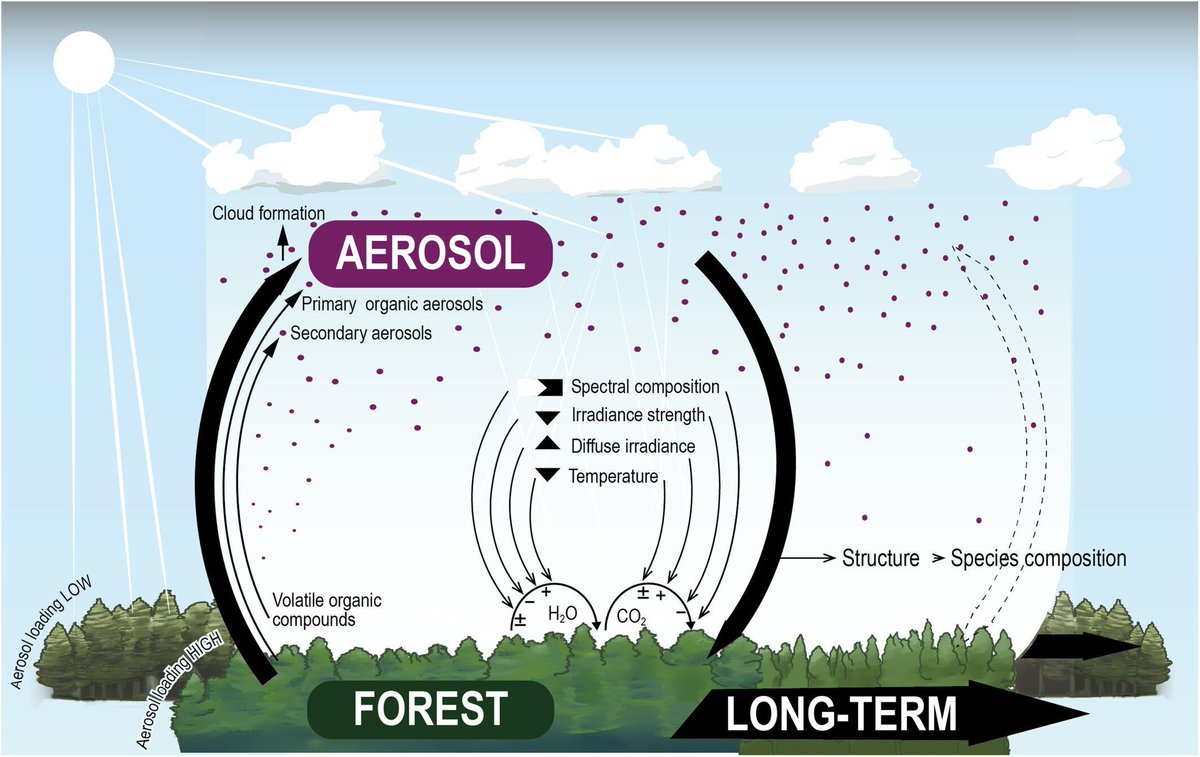 New Phytologist tweet media