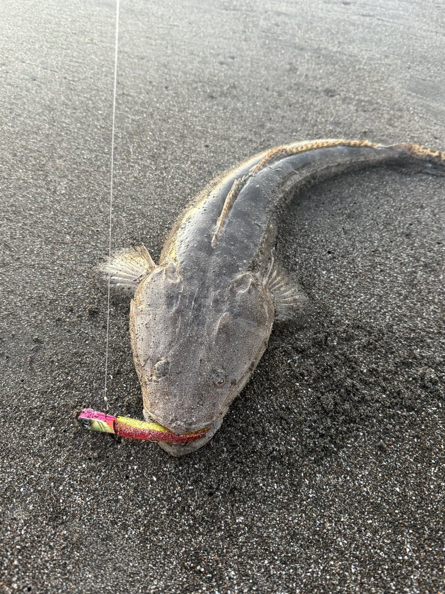 munezou (@MUNEZOU19XX) / Posts and Replies / X