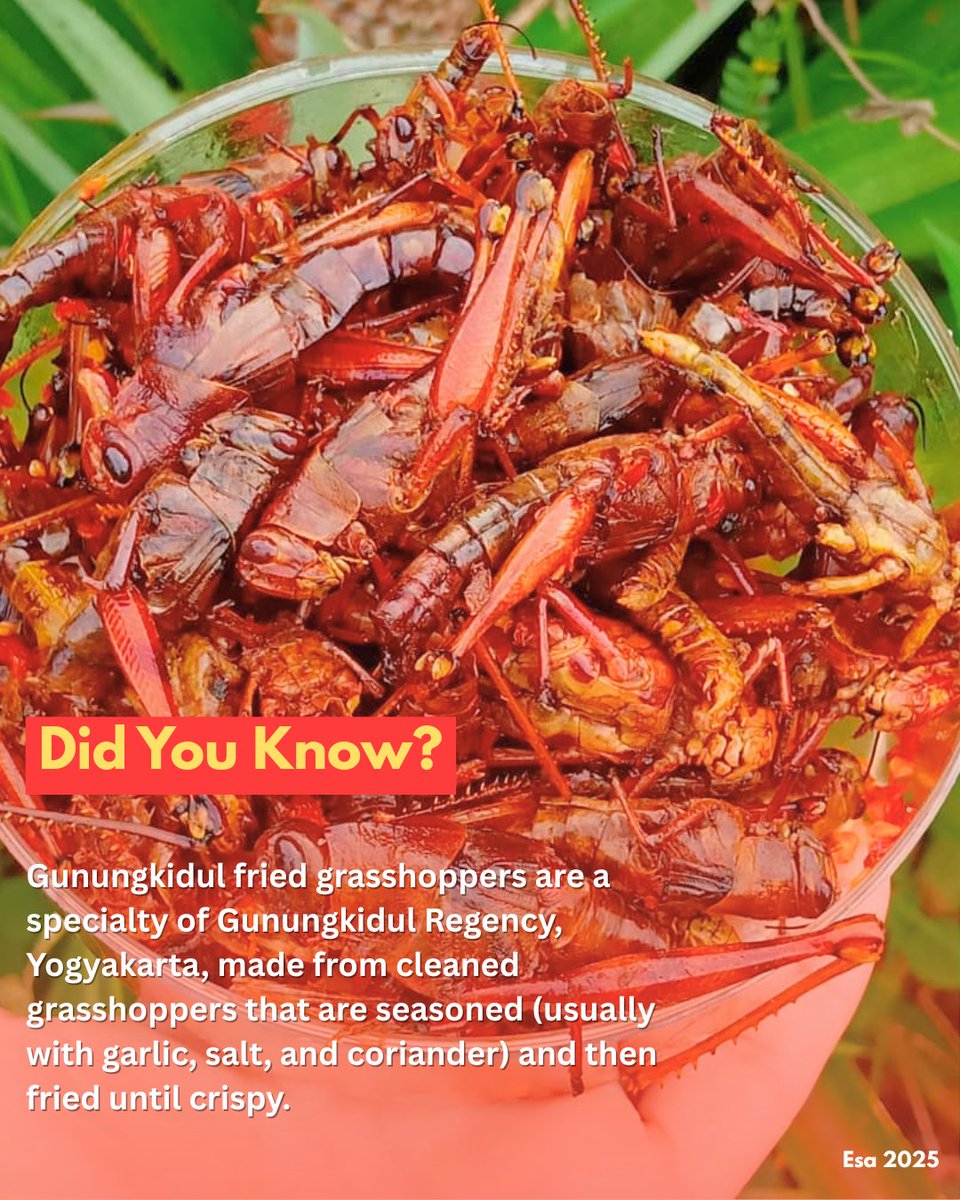 Gunungkidul fried grasshoppers are a savory traditional snack known for their crispy texture and rich seasoning🪳🧄

Find out more about Yogyakarta, follow us on:
🌐 visitingjogja.jogjaprov.go.id
📷 <a href="/visitingjogja/">Visit Jogja</a>
🐥 <a href="/visiting_jogja/">Visiting Jogja</a> 

#visitingjogja #visitjogja #gunungkidul