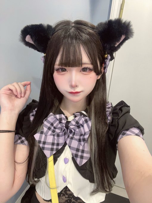 子猫maidcafeRagdollのツイート