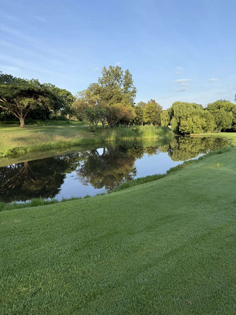 Rendani Mamphiswana, PhD tweet media