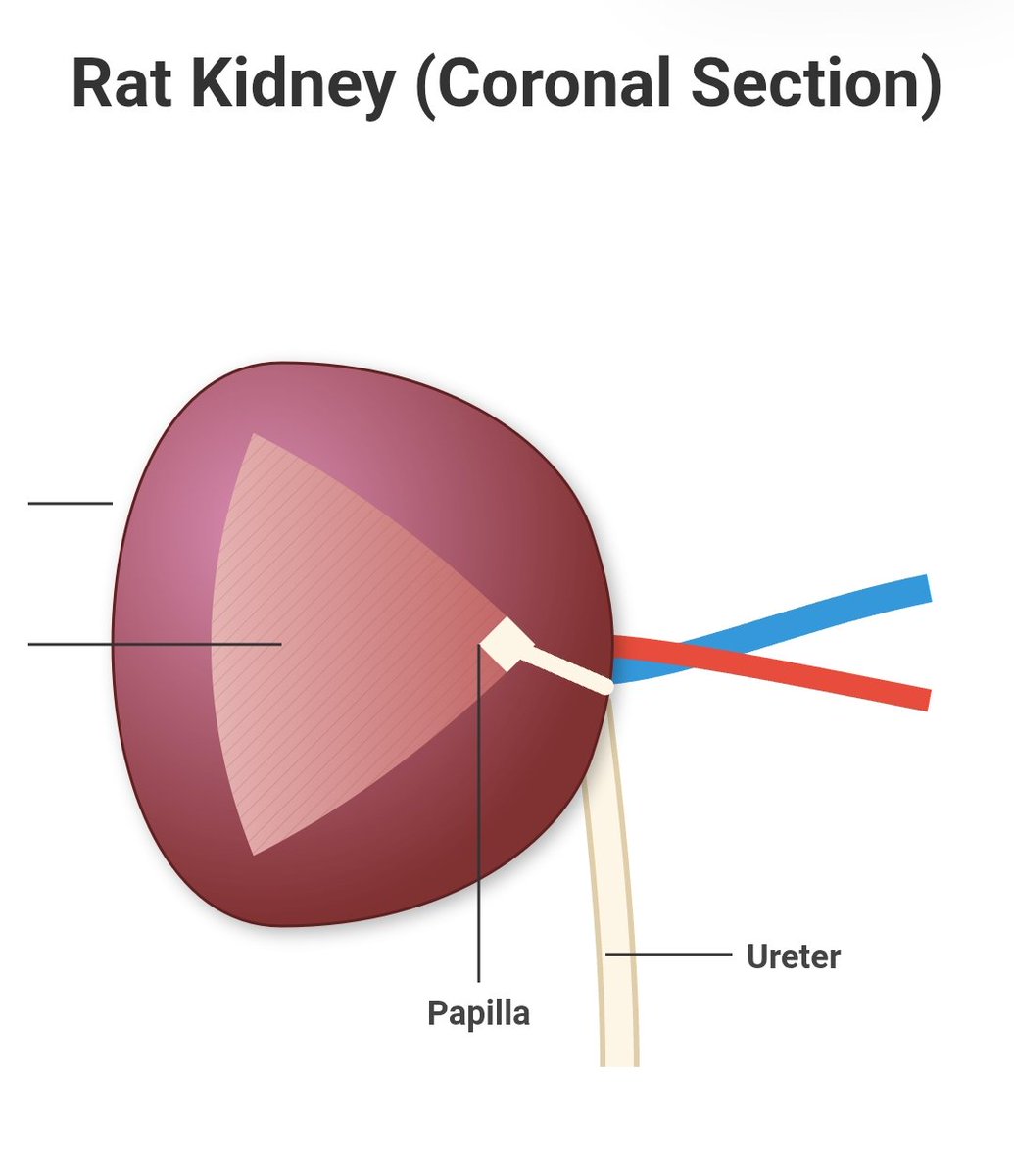 Utkarsh Gupta tweet media