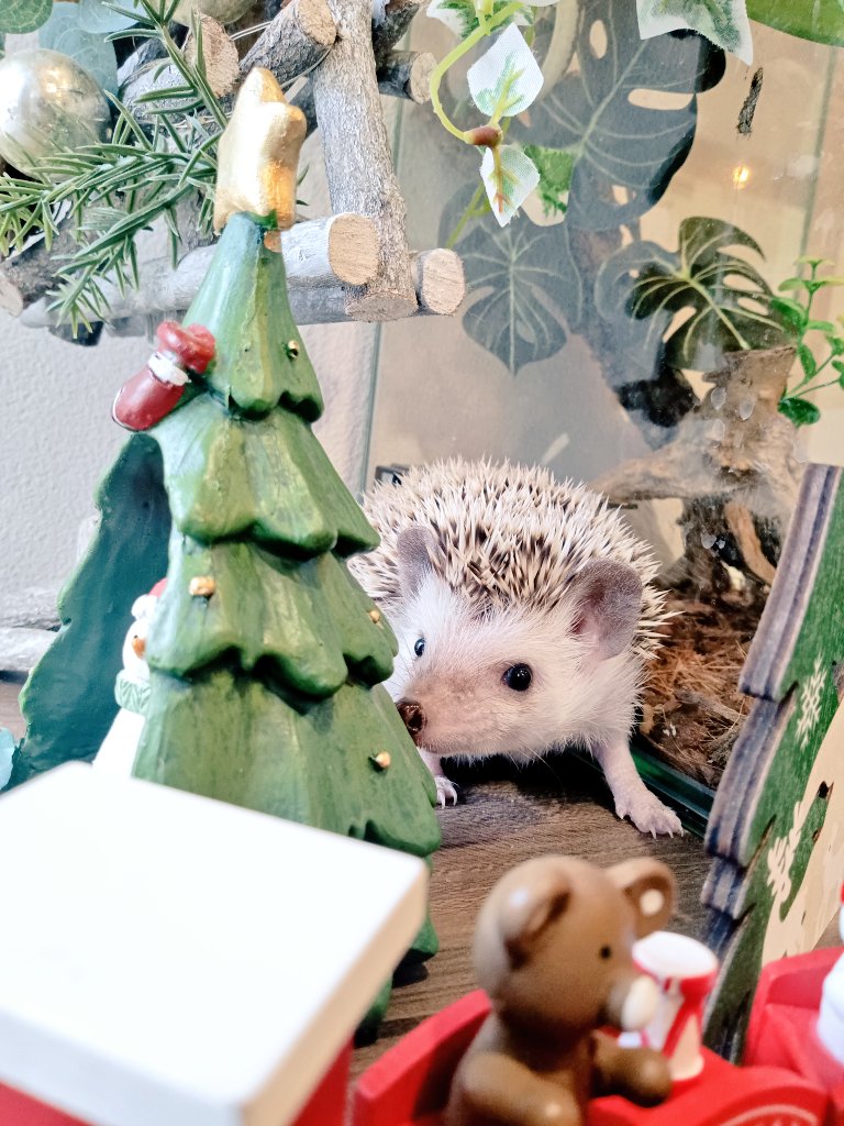 こんにちは♪ 本日も19時まで営業しております🈺 ✨ご家族様募集中