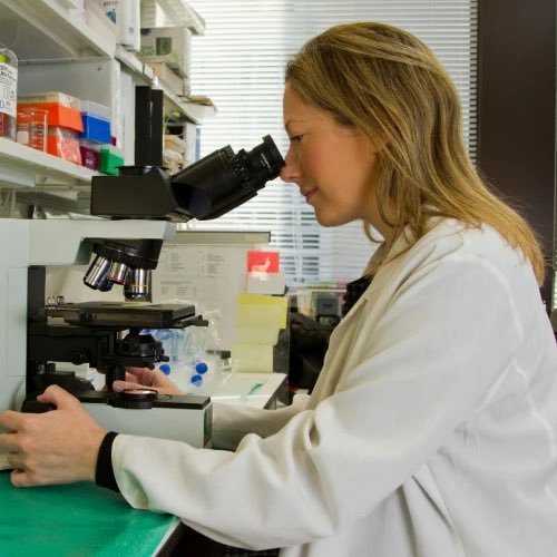 Η Αυστραλία θα γίνει η πρώτη χώρα στον κόσμο που θα εξαλείψει τον καρκίνο του τραχήλου της μήτρας μέχρι το 2035

jenny.gr/update/452065/…