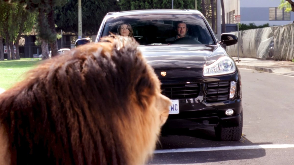 postitMD's tweet image. "rawr!" 

"good, zola. rawr. that's what a lion says... is that a...?"

"that's a lion" 
#merder #greysanatomy