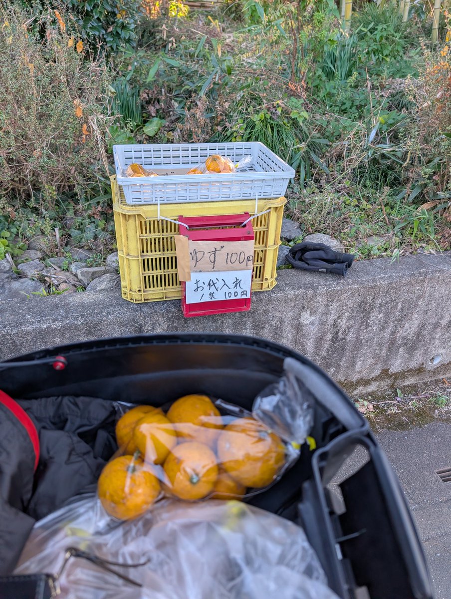 今夜はゆず湯でもへえるべ