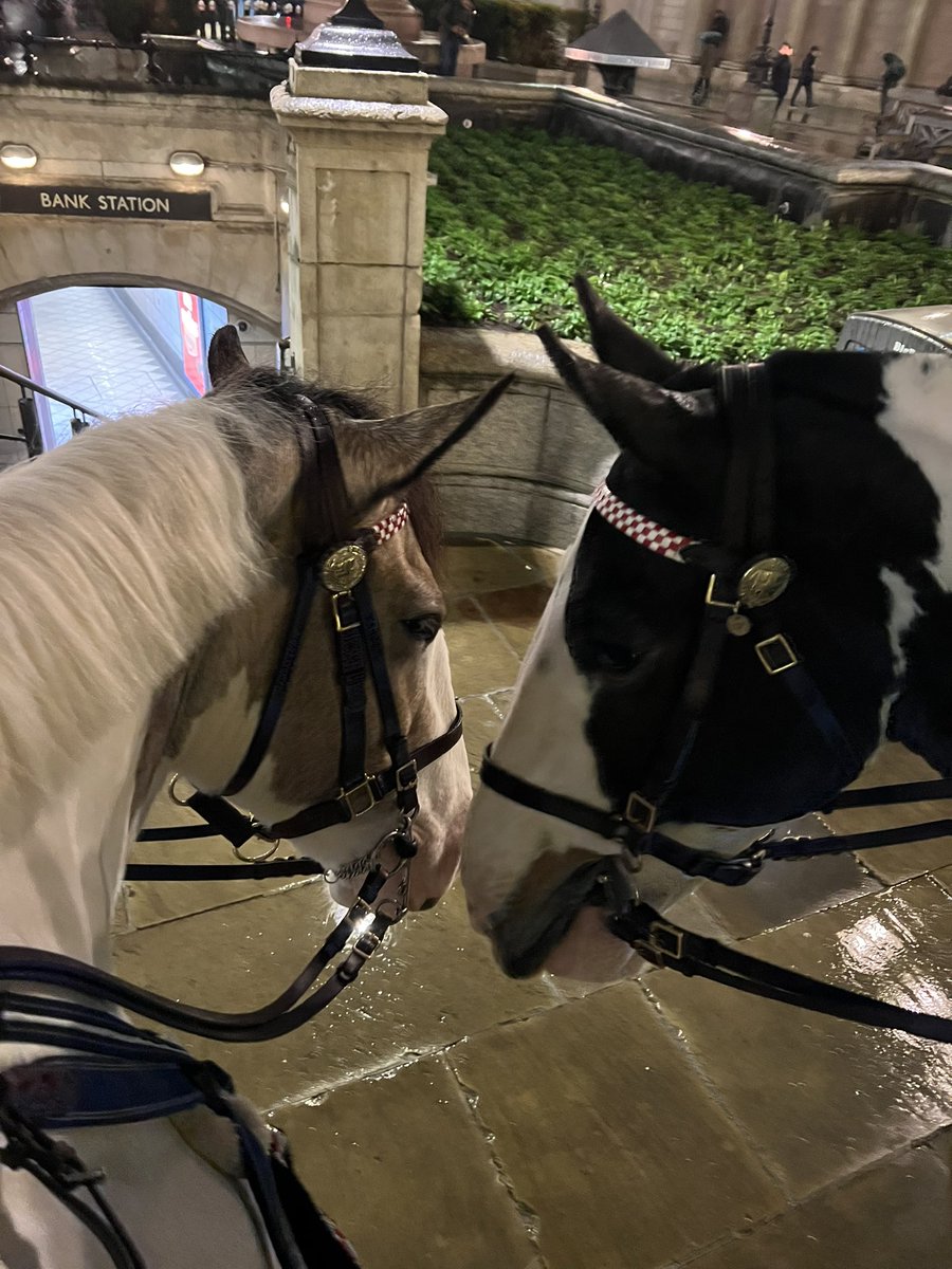 CityHorses's tweet image. #PHNegus &amp;amp; #PHGilbert we’re out and about engaging with the public last night in @cityoflondon @CityPolice