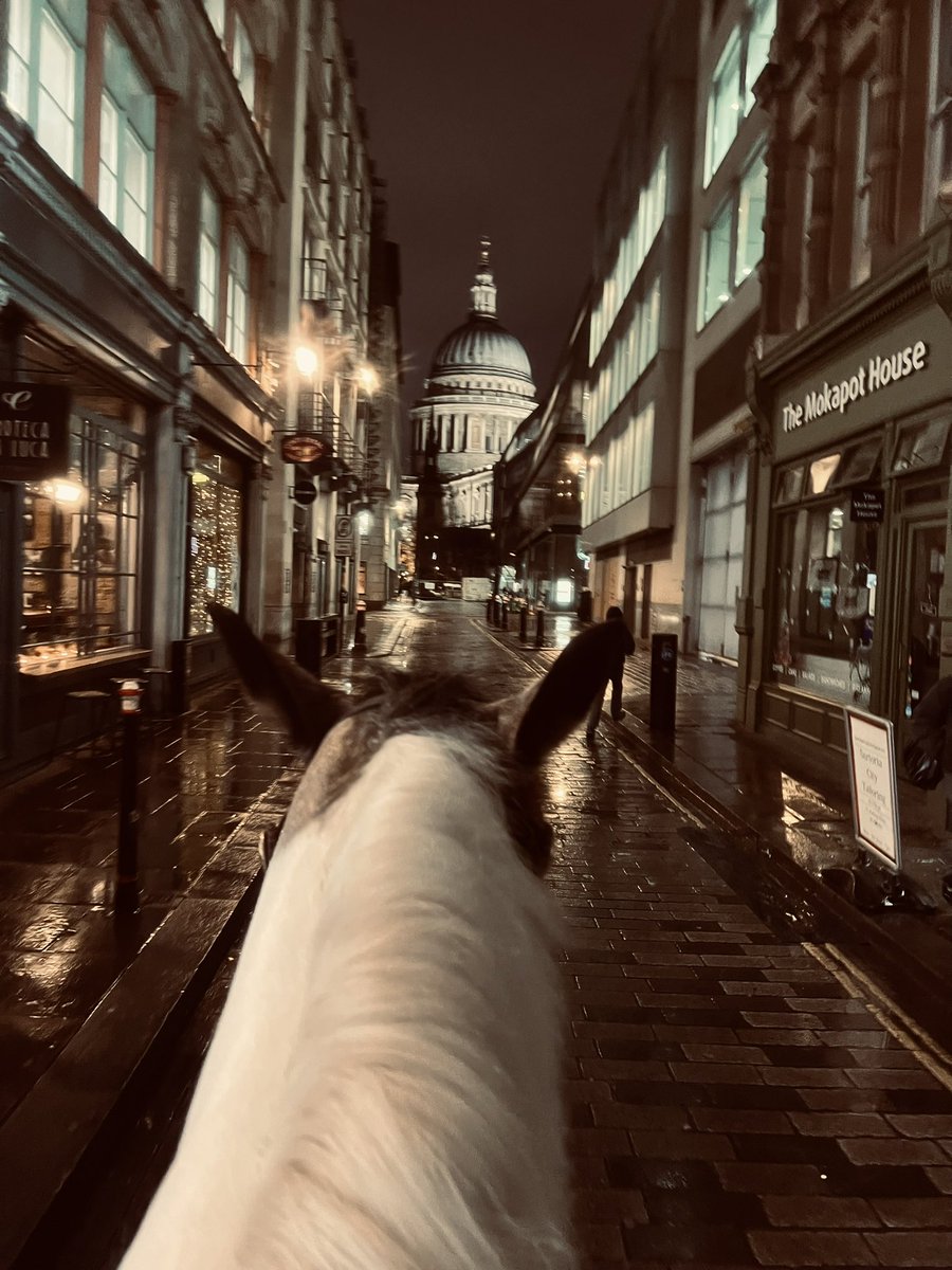 CityHorses's tweet image. #PHNegus &amp;amp; #PHGilbert we’re out and about engaging with the public last night in @cityoflondon @CityPolice