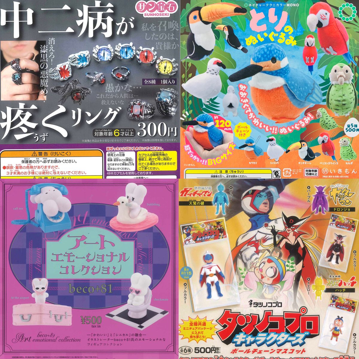 ⑤4種入荷しました