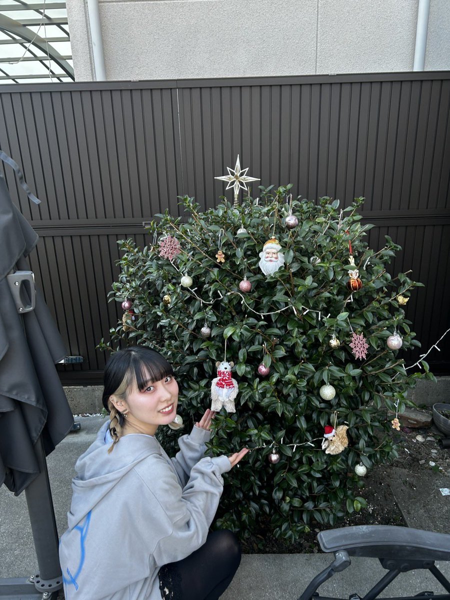 石坪宅のツリーです🎄🎄🎄🎄 クリスマス当日も楽しみだね🎅🏻 ご来場