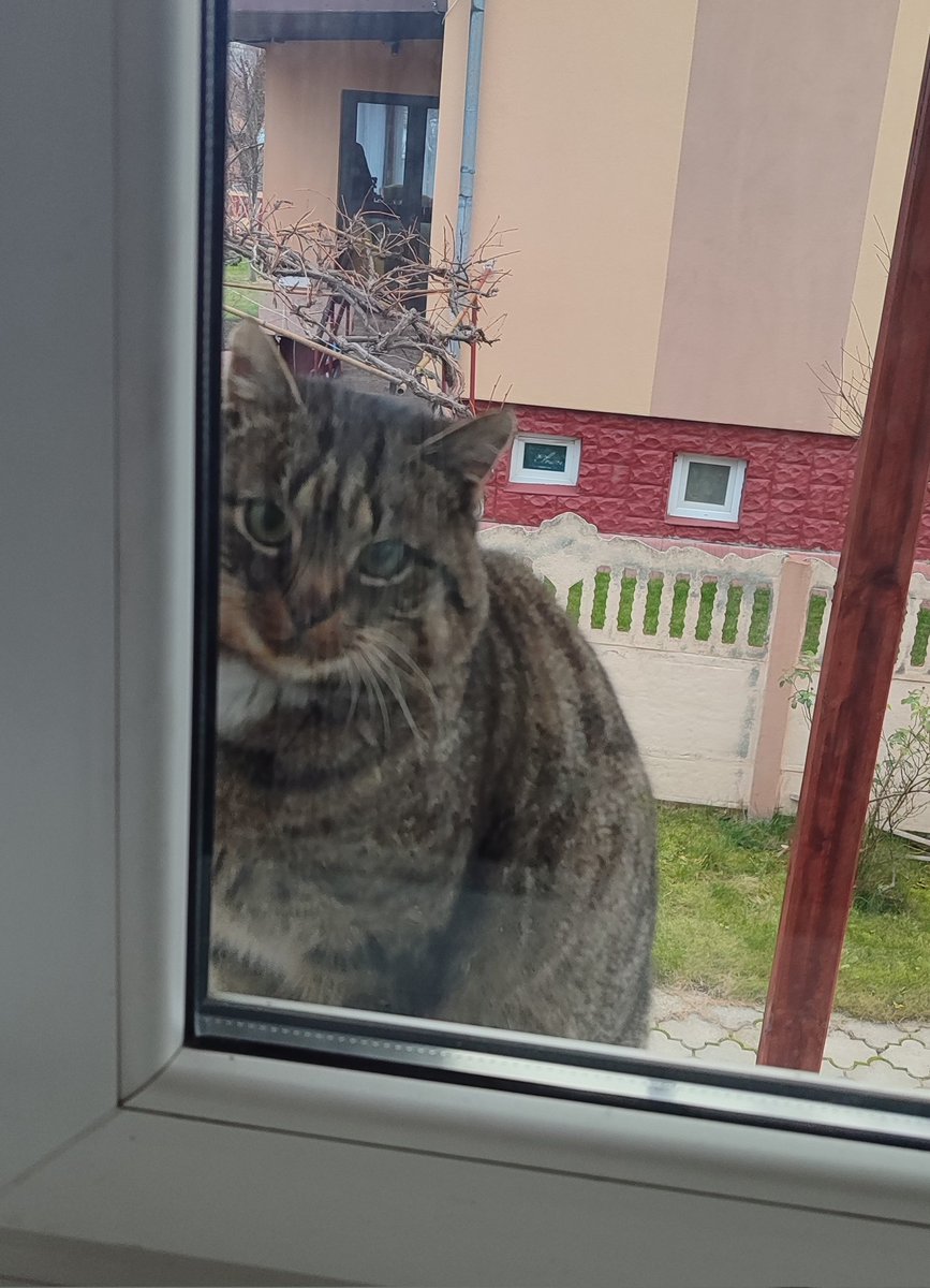 Зноўку жроце без мяне!?