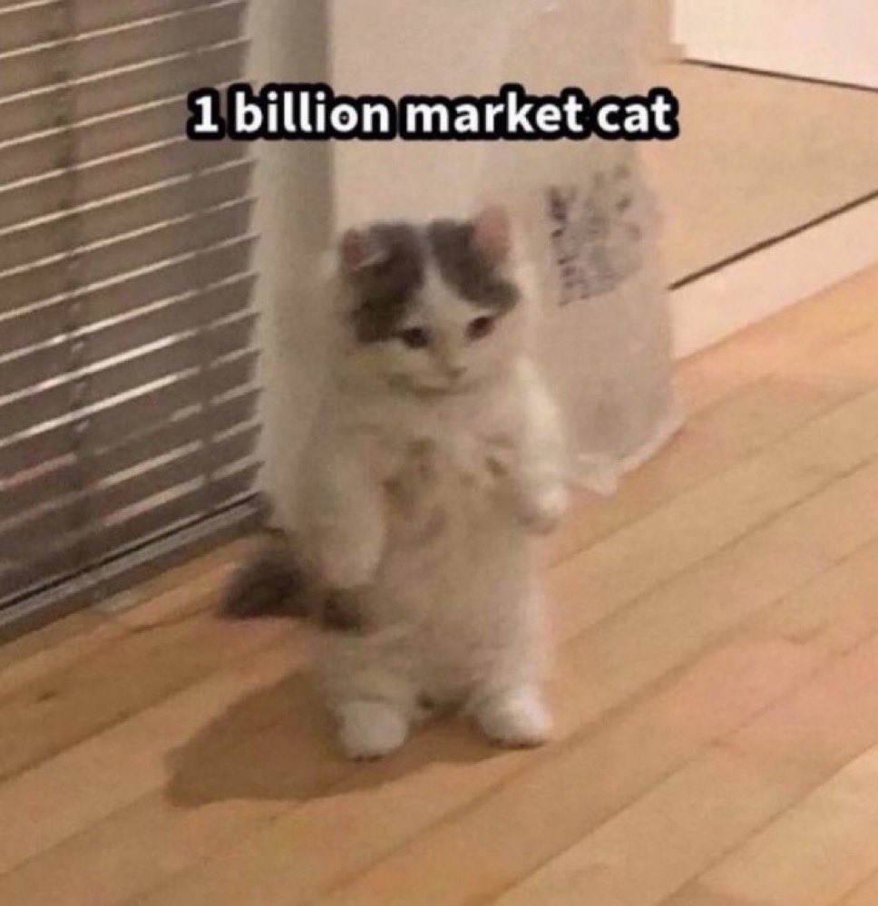 MICHI is one of the original memes on <a href="/Pumpfun/">Pump.fun</a> — a true OG.

Back when it first launched, the most memeable cat already made waves. 

At its ATH, Michi hit ~$0.58. 

There’s a reason pumpfun spotlighted $MICHI in its promo push — this wasn’t just another token.

Now? $Michi might
