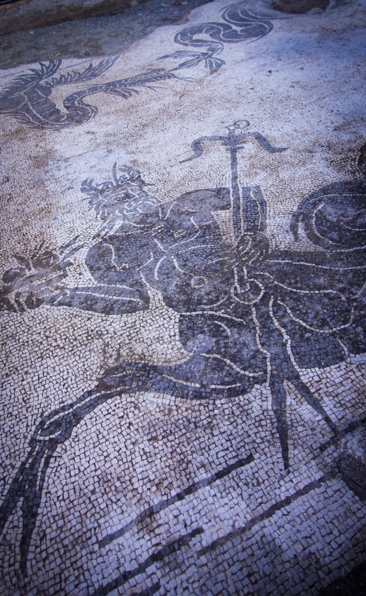 Un complesso termale imperiale che diventa una chiesa con fonte battesimale tra IV e V sec. d.C.: è la nuova storia che gli scavi alla Villa di Sette Bassi al Parco #AppiaAntica stanno rivelando.
Ricerca, tutela e valorizzazione, grazie al #PNRR Caput Mundi.
#Archeologia