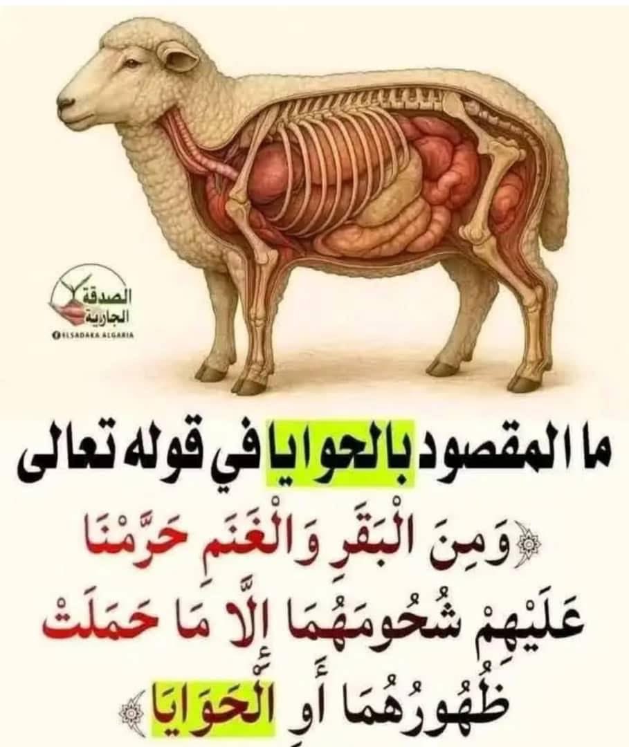 ما معنى الحو:ايا هنا يا مؤ:منين.⁉️

وهل كلمة الحو:ايا كلمة عر:بية.!؟

#فرق_الترقيع 💃🏻