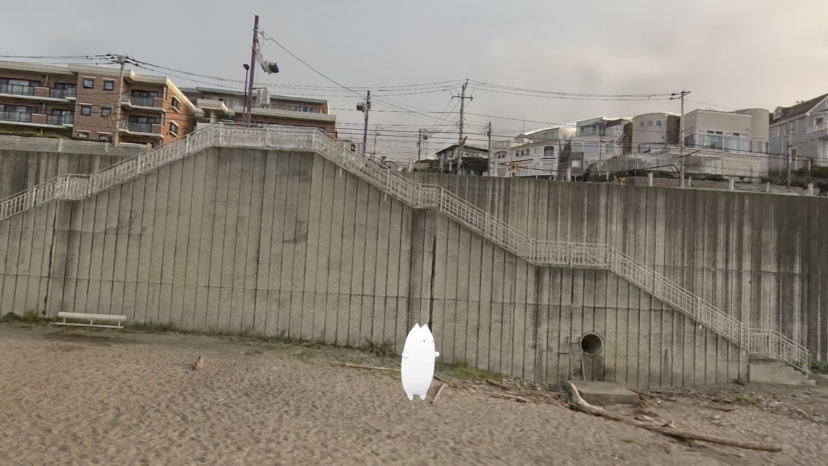 tomo(とも) tweet media