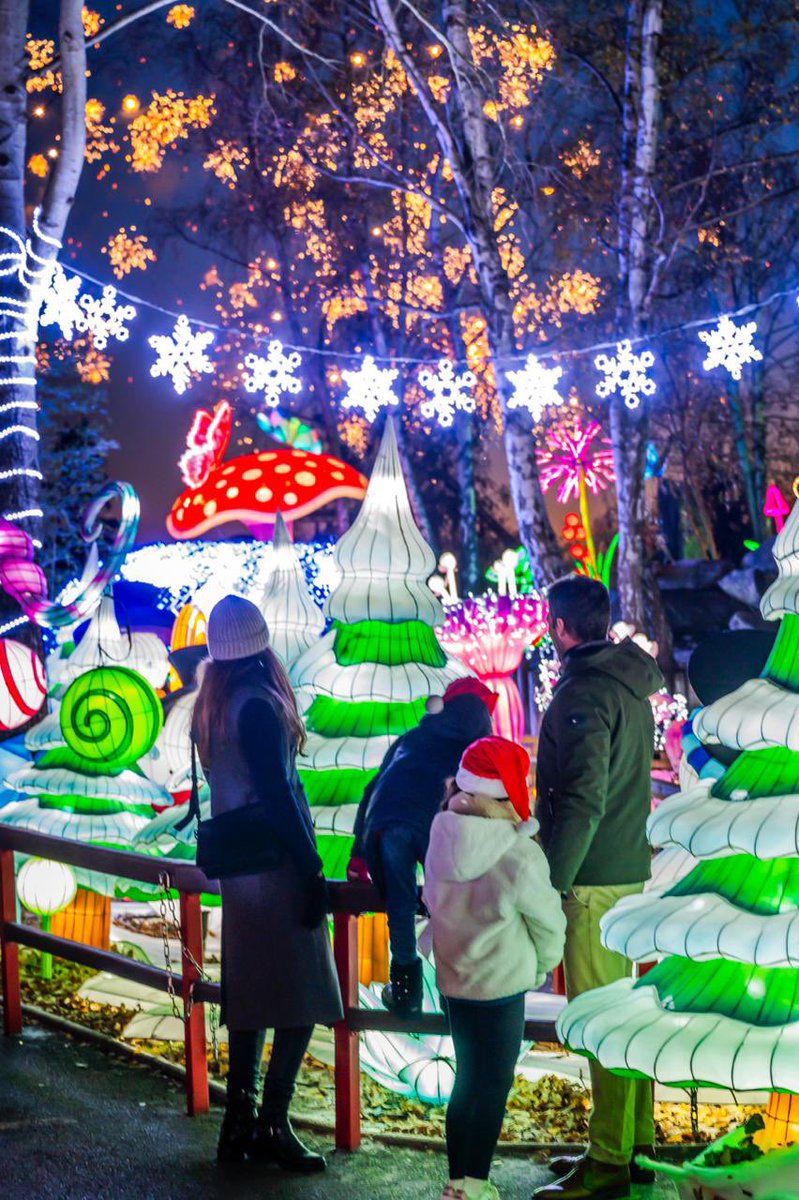 Miradas Viajeras tweet media