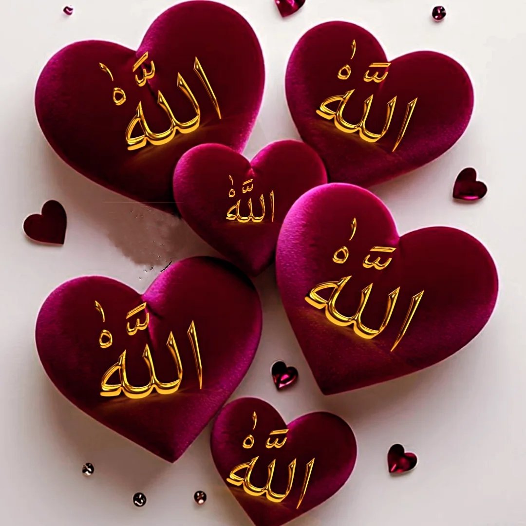 سحر ملک 🎀 tweet media