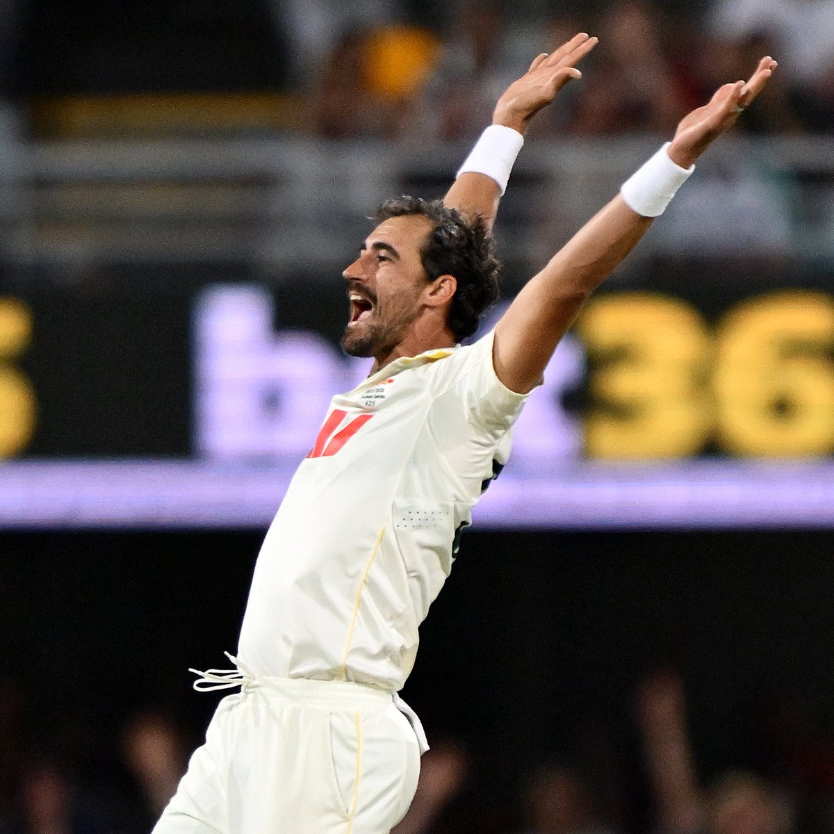 CricCrazyJohns's tweet photo. STARC IS WINNING ICC TEST CRICKETER OF THE YEAR AWARD. 

- 2025 is Starc's Year. https://t.co/rdVHCSSMiw