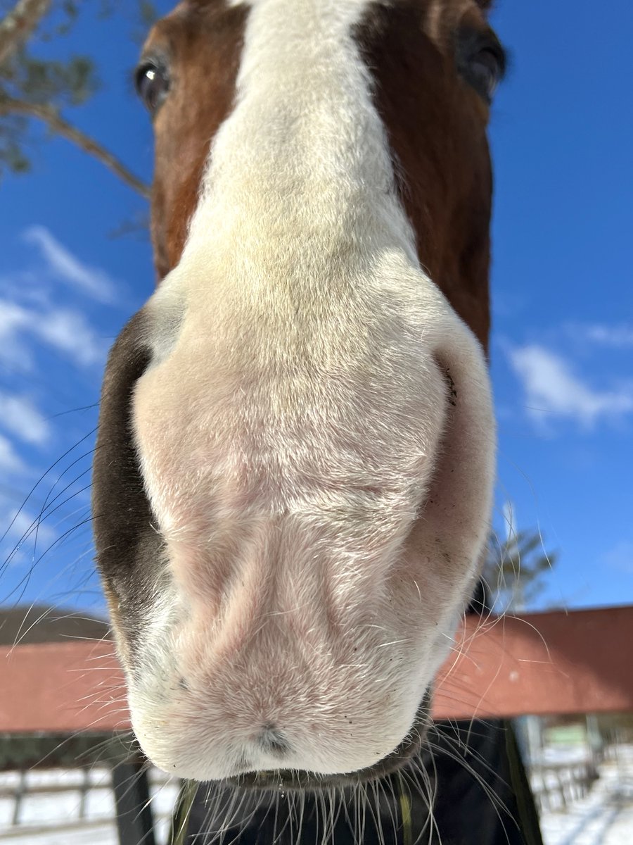 たるまげ tweet media