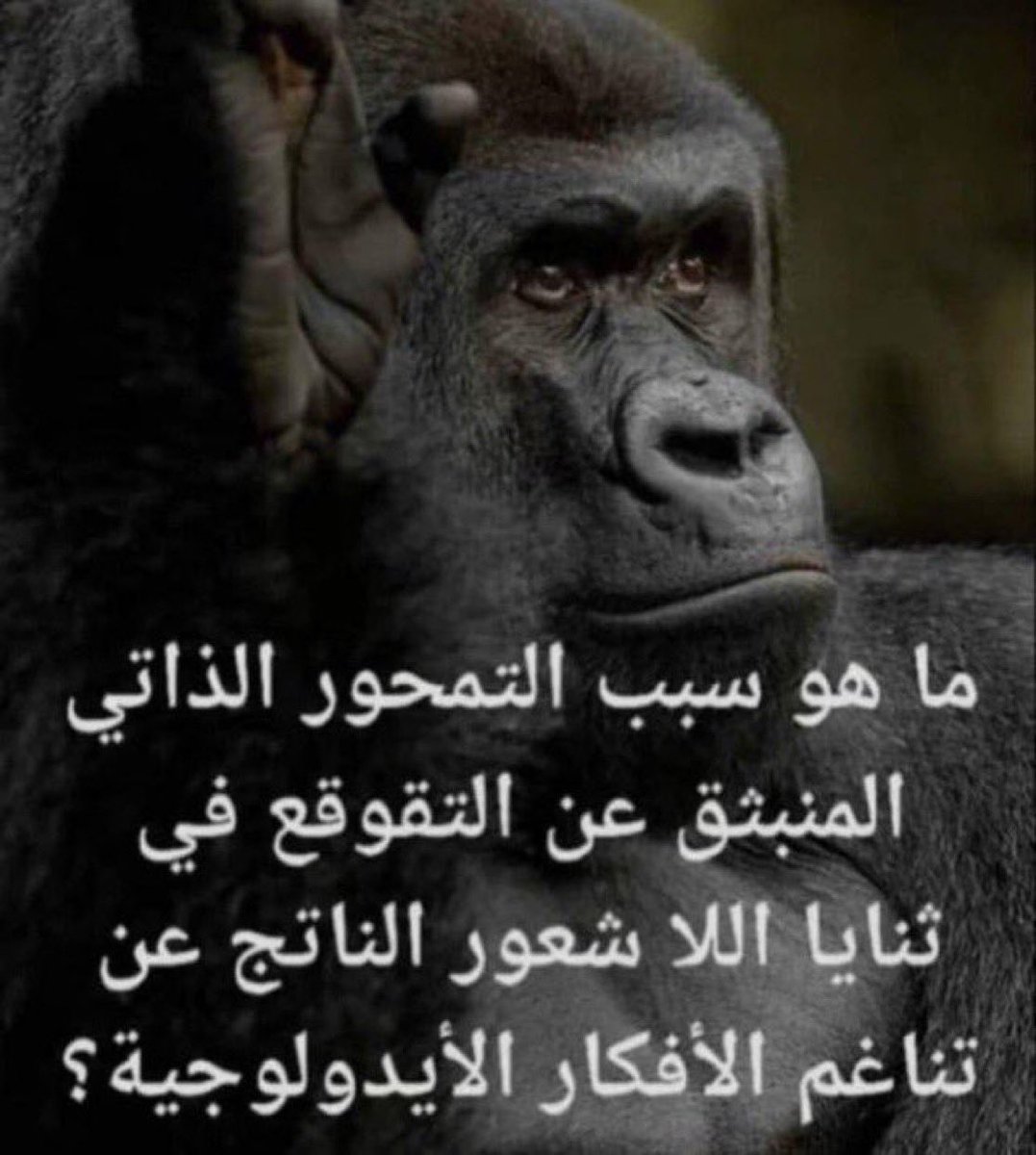 ibbbln's tweet photo. @1jilj1il https://t.co/OH3S0JU23s