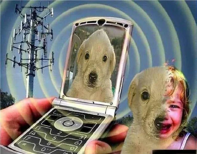 Autocorrect started changing 'everyone' into 'everypuppy'