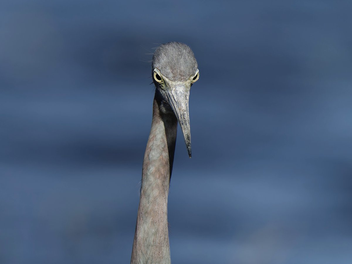 Іноді роблю автопортрети