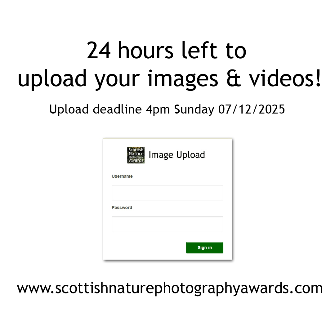 ScotNaturePhotoAward tweet media