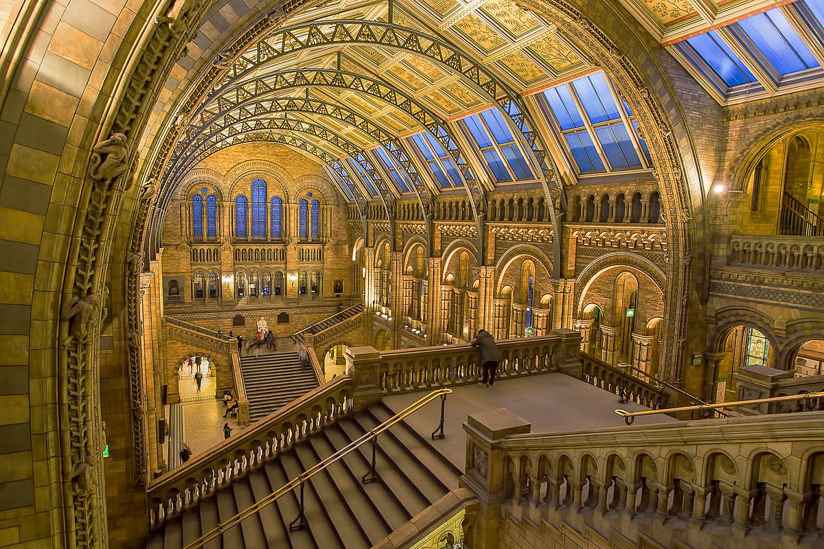 Beau Dade tweet media