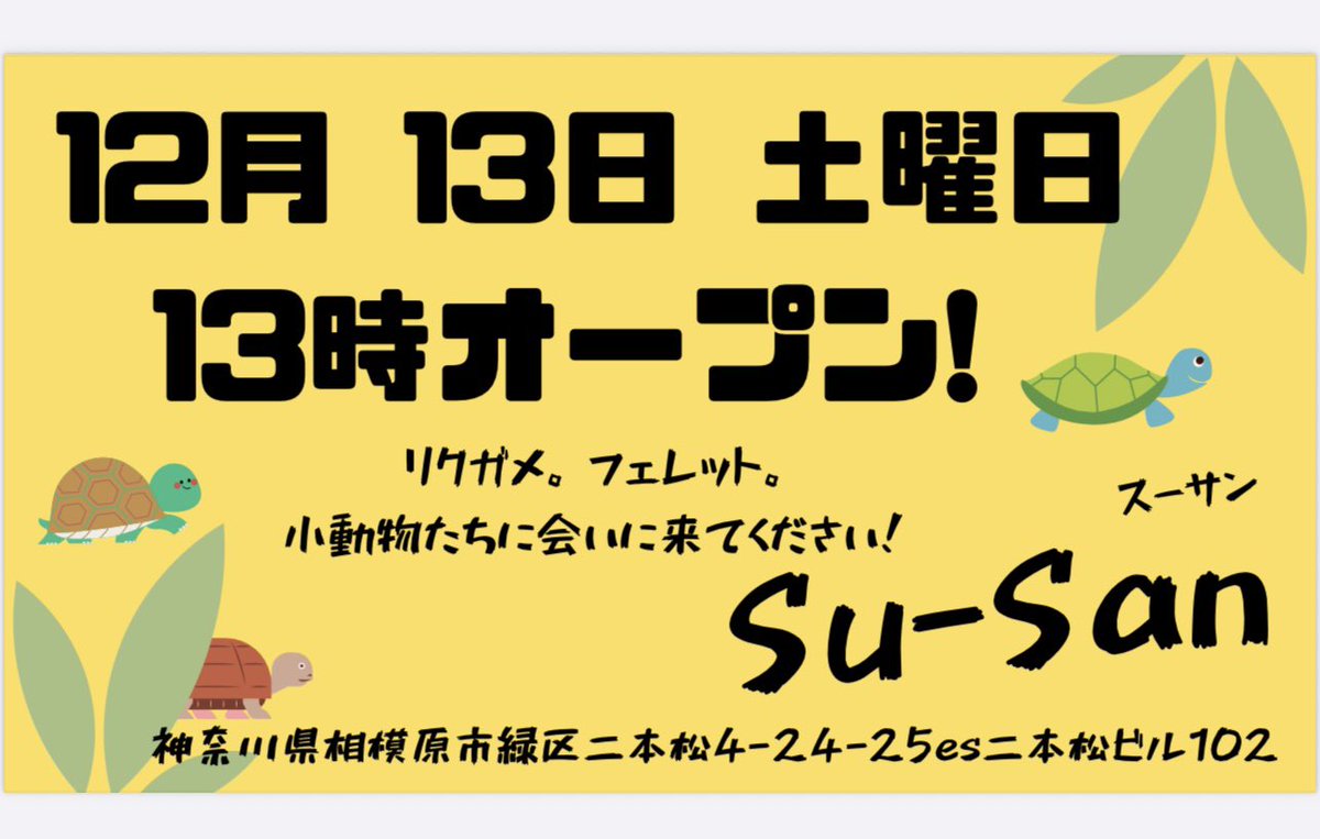 この度、神奈川県相模原市に路面店舗をオープンする運びとなりました。皆様に愛されるお店を目指し、Su-Sanスタッフ一同・精一杯努めてまいります。今後ともどうぞよろしくお願いいたします♪
#爬虫類ショップ　#リクガメ　#フェレット