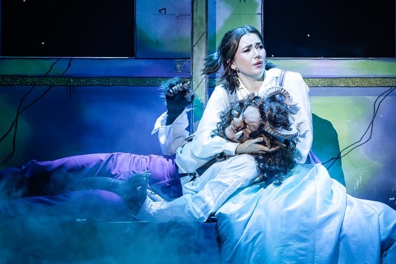 Rohan Green tweet media