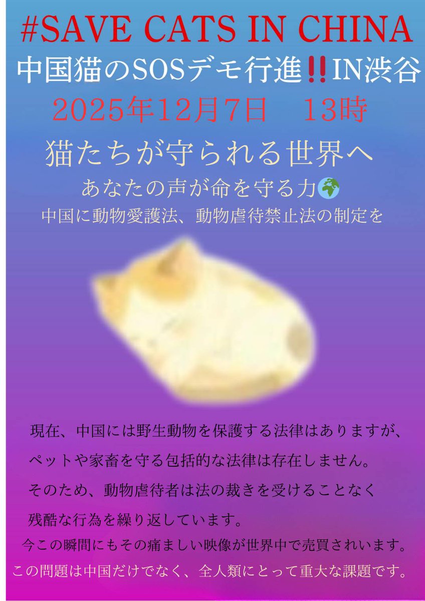 明日のデモ行進に、参加してください‼️中国猫問題を訴える為、渋谷の街を行進します。
デモ行進初心者の方でも大丈夫。
どうか一緒に歩いてください！！！
#中国猫の未来を諦めない
#中国猫のSOSデモ渋谷
