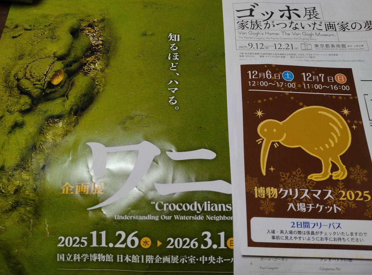 しざーはんず 次回予定は、博物ふぇすてぃばる!12 tweet media