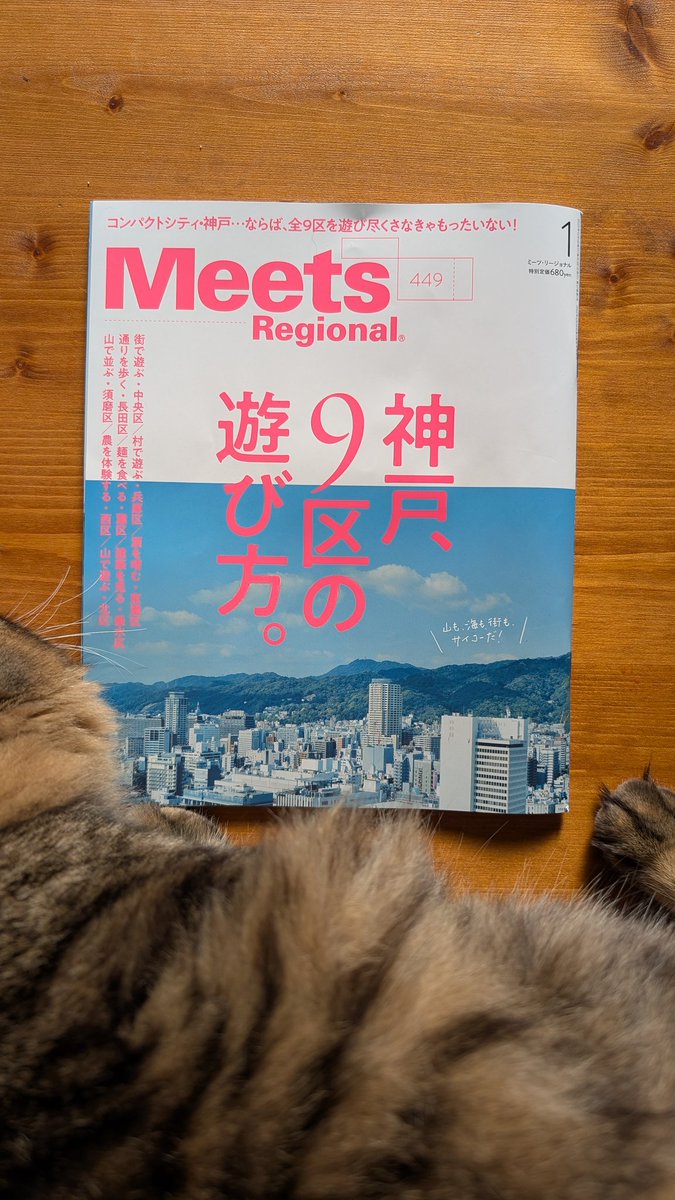 nabbyblue's tweet photo. 猫ちゃんが写り込んできましたが、今月のミーツは神戸特集号。表紙にもありますが、山も、海も、街も、全部サイコーです。 https://t.co/nobf6sxBCP