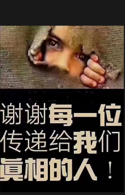 qin88484's tweet image. 