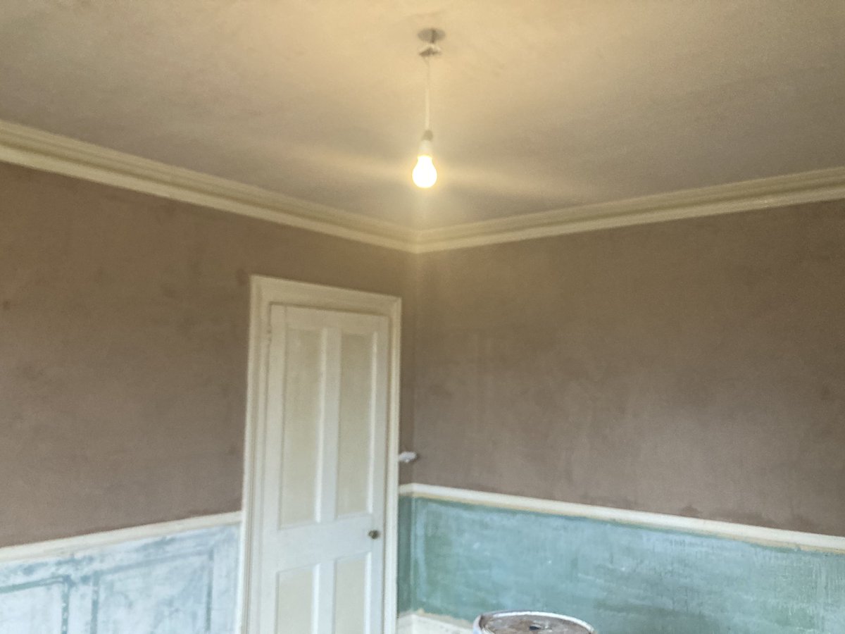 Pegasus Plasterers tweet media