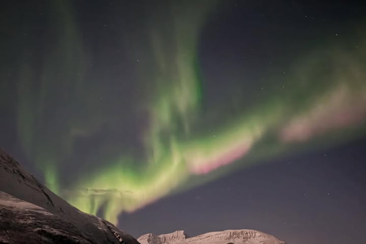 sitaurusboy2's tweet image. Never get tired of chasing you ✨