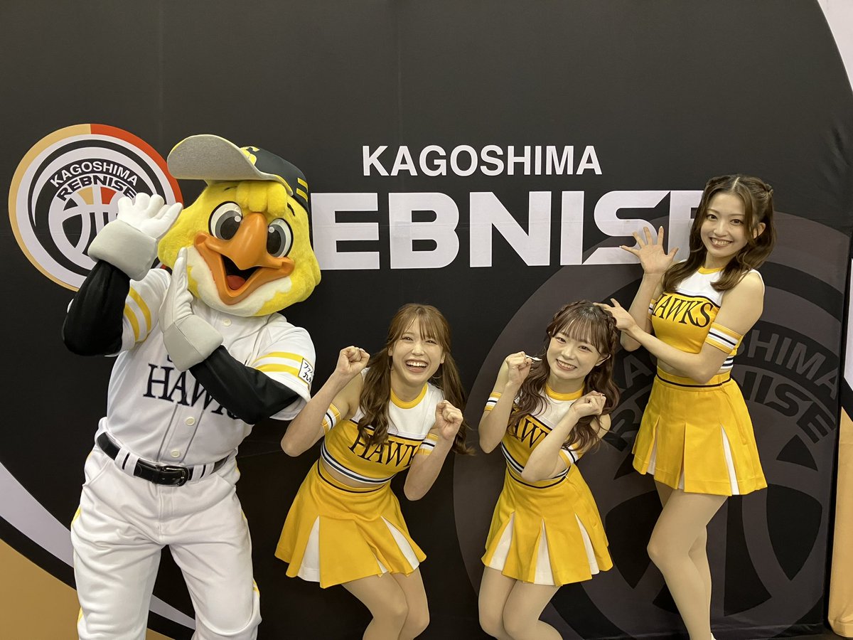 ハリーホーク ハリーホーク（公式） (@hawksHarry) / Posts / X