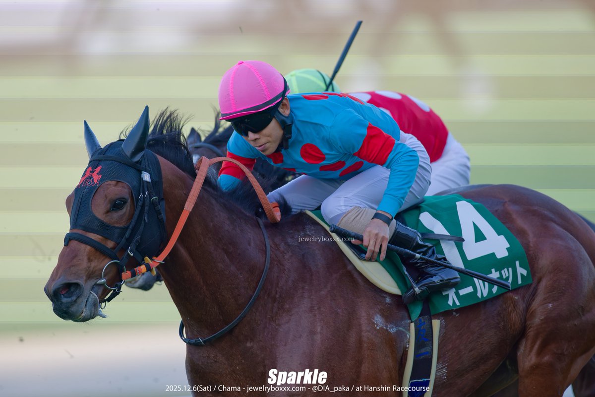 サトノダイヤモンド産駒