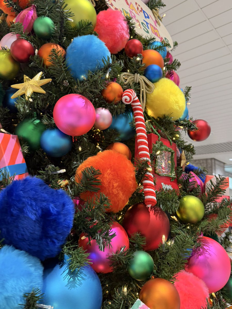 Python_regius44's tweet image. 明日、名古屋ジャングルハンターよろしくお願いします😊

ボールパイソンは48匹🐍
全て自家繁殖です♡

内、30は♀✨️🐍

お立ち寄りお待ちしております😘
気軽に絡んでください！