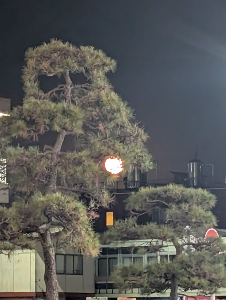 nekosirasu's tweet photo. 今日の満月、大きくてきれいだった。
今年最後の満月らしいです。 https://t.co/EghYU1S1JM